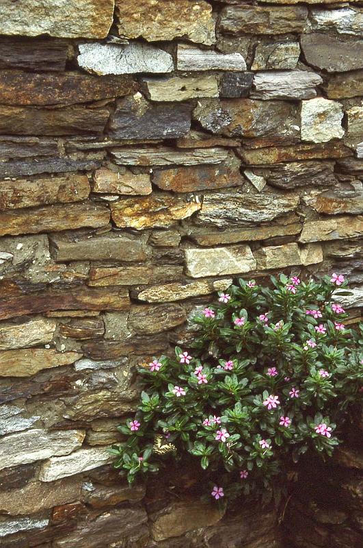 WT 1000 147-10 Nepal.jpg